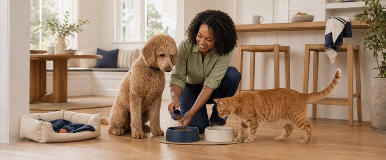 Apricot poodle and orange cat with their owner — Lunna Pet Co Pet Care