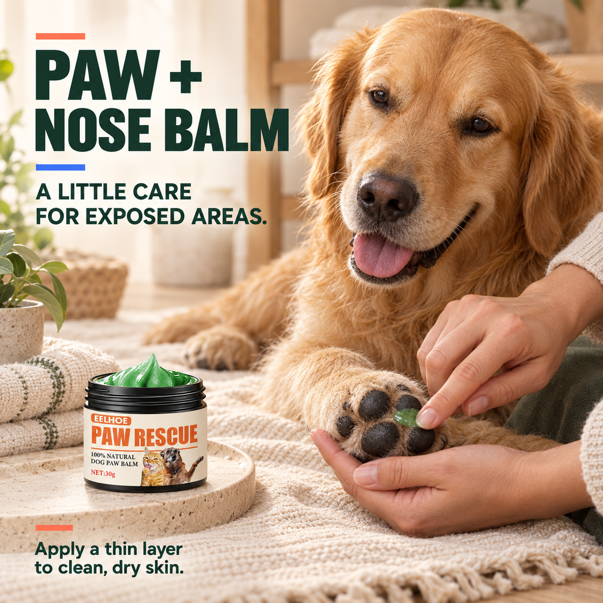Caregiver applies a thin layer of green Paw and Nose Protection Balm to a calm dog's clean, dry paw pad.