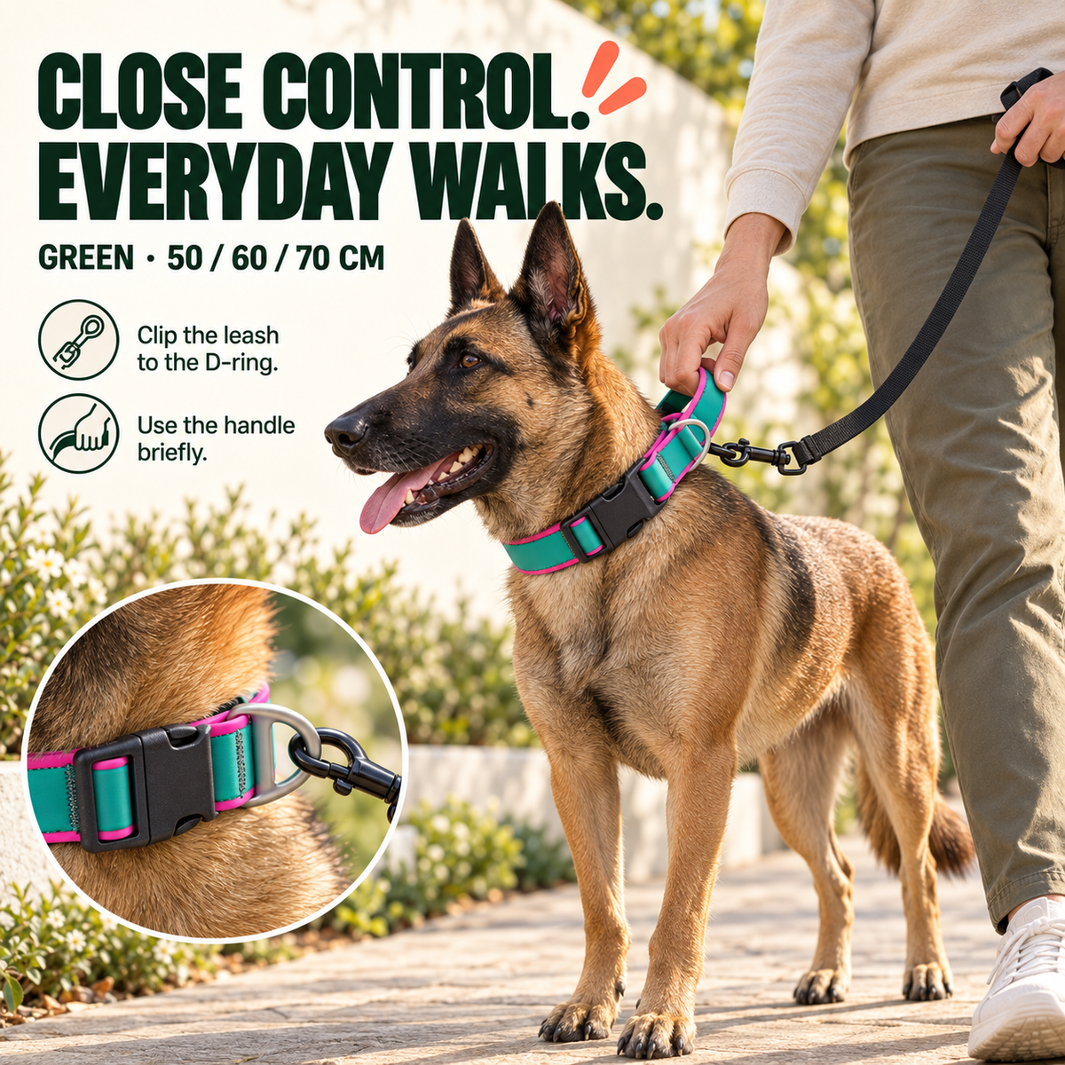 Belgian Malinois wears a Green tactical-style dog collar with a leash clipped to the D-ring while the handle is used briefly.