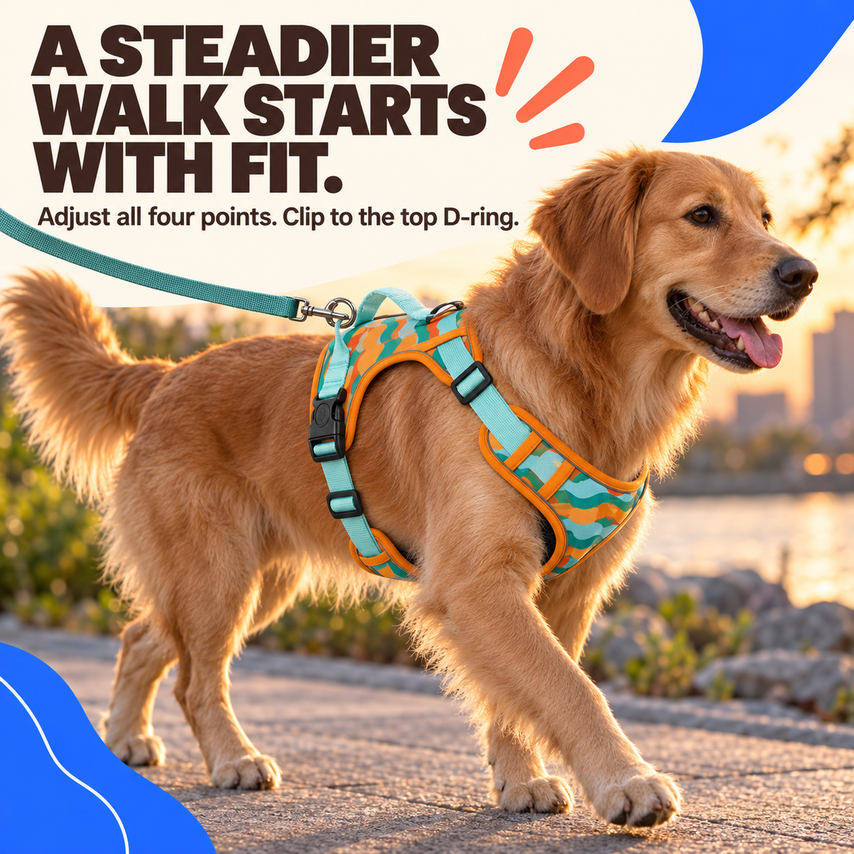 Dog wears the Orange reflective adjustable harness with the leash attached to the top D-ring.
