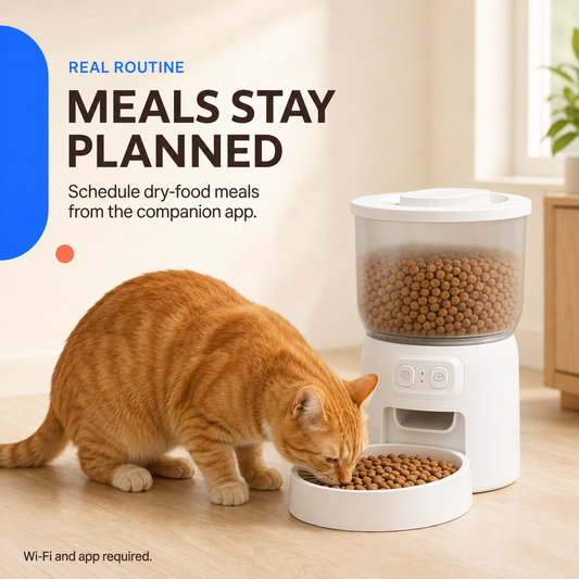 Orange tabby cat eating dry kibble from the white 3.5L Wi-Fi pet feeder