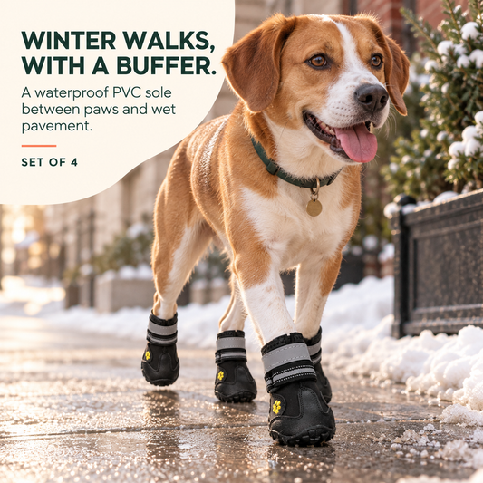 Medium dog wears four Black winter dog boots while walking on a lightly snowy wet sidewalk.