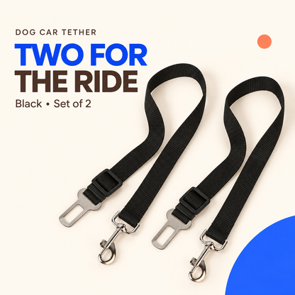 Two black dog car tethers with silver buckle tongues and swivel snap hooks on a cream background.