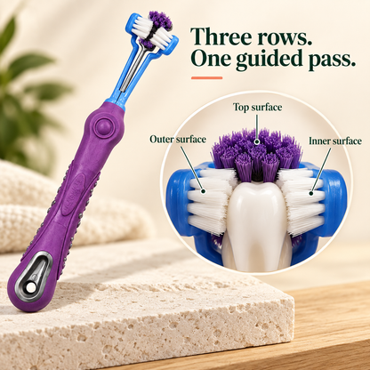 Violet three-sided pet toothbrush with a close-up of the outer, inner, and top bristle surfaces around a tooth model.