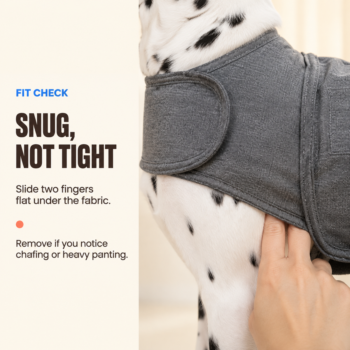 Two fingers slide under the Heather Gray dog vest to check for a snug, non-restrictive fit.