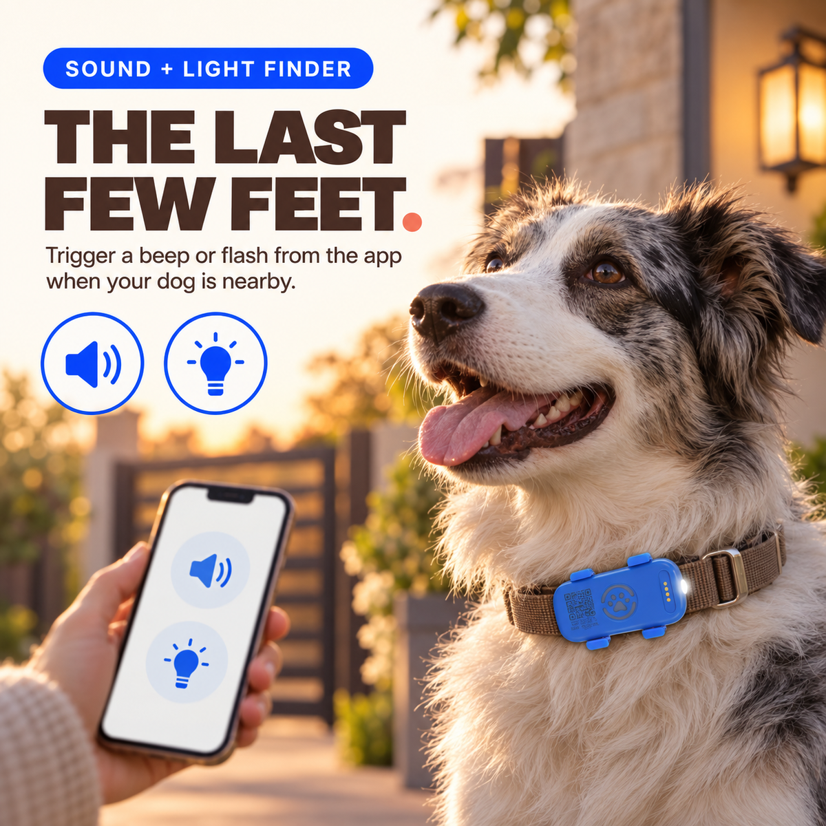Dog wearing a Blue and White GPS tracker while a caregiver uses the app sound and light finder.