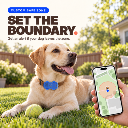 Dog wearing a Blue and White GPS tracker beside a phone displaying a custom safe-zone map.