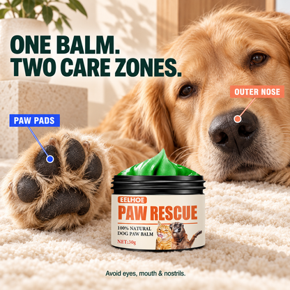 Golden Retriever with the paw pads and outer nose identified as the two external care zones.