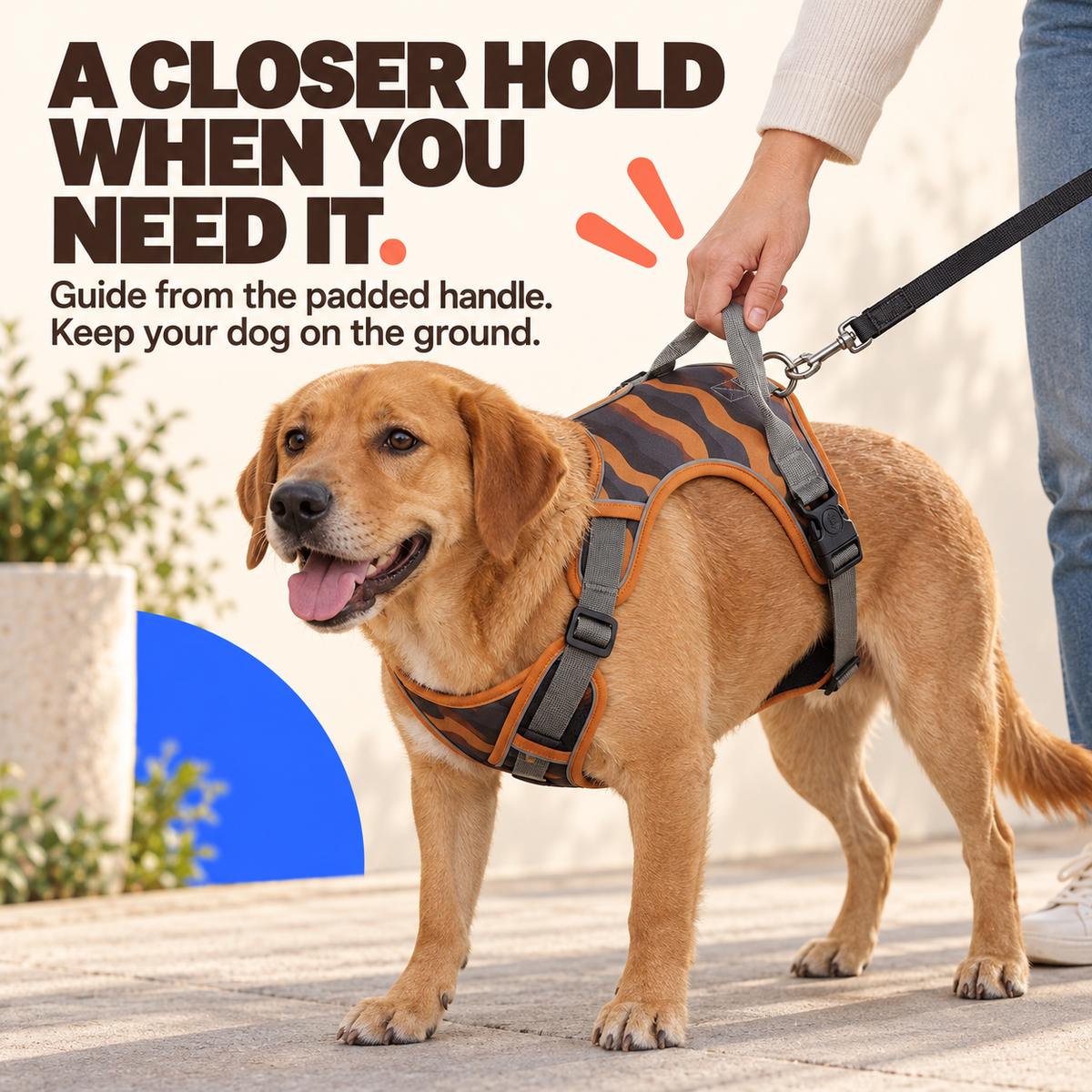 Dog wears the Chocolate adjustable harness while a caregiver lightly uses the padded top handle.