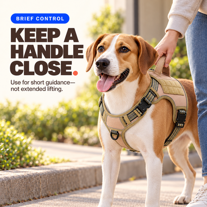 Caregiver holds the top handle of a Khaki dog harness for brief guidance while the dog stands on the ground.
