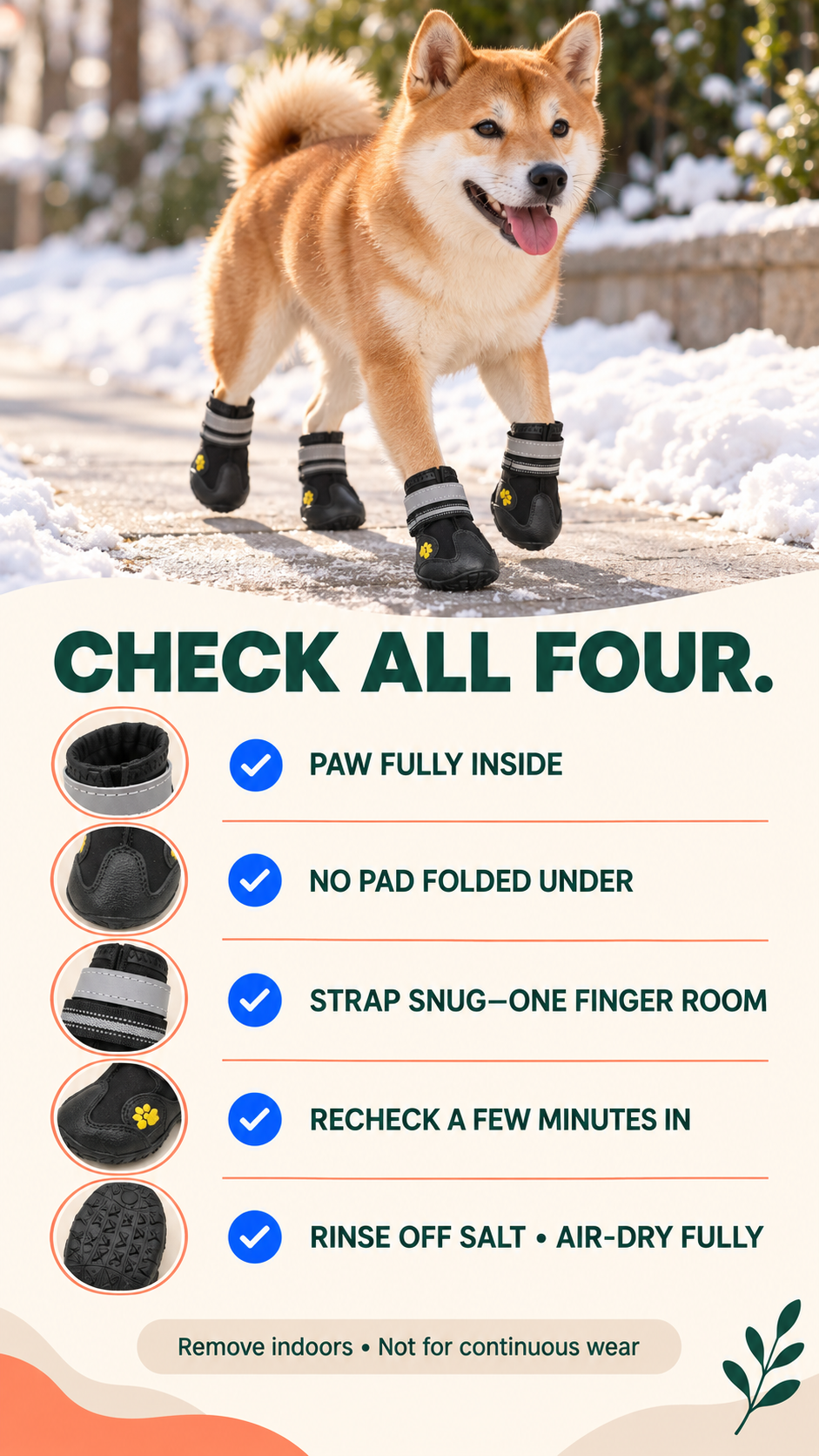 Winter dog boot checklist covering paw position, strap fit, rechecking, rinsing salt, and air-drying.
