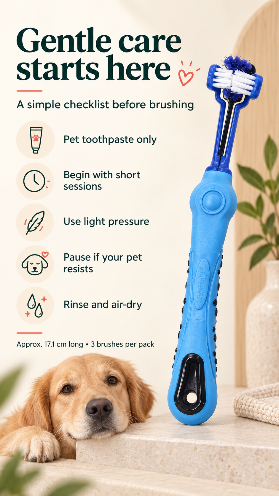 Blue three-sided pet toothbrush checklist covering pet toothpaste, short sessions, light pressure, pausing, rinsing, and air-drying.