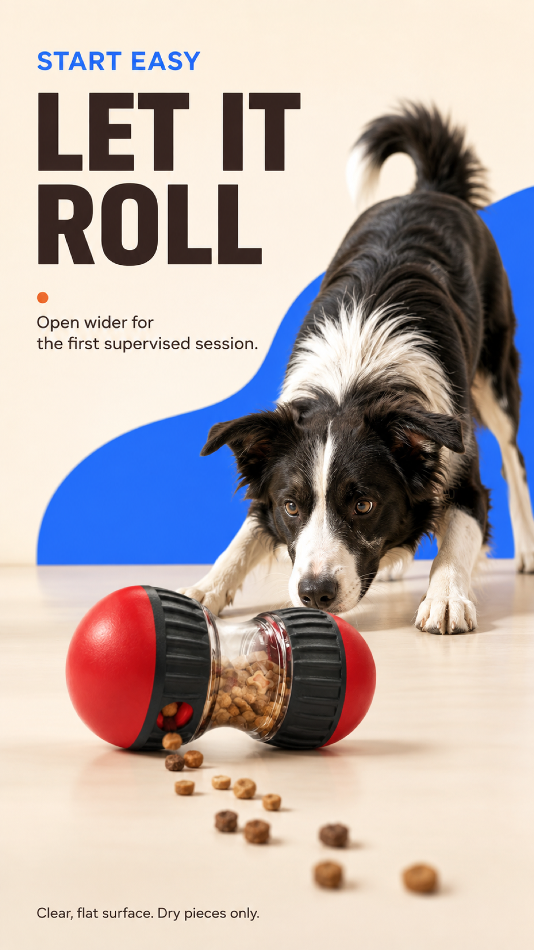 Border collie ready to nudge the Red treat-dispensing dog puzzle toy on a flat floor