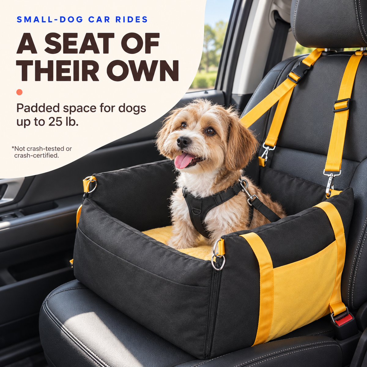 Small dog wearing a harness seated in the black and yellow booster seat secured inside a parked car.