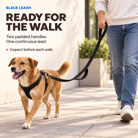Black reflective double-handle dog leash held on a calm walk with a medium dog.