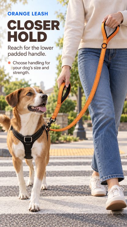 Orange reflective double-handle dog leash used by the lower padded handle near a crosswalk.