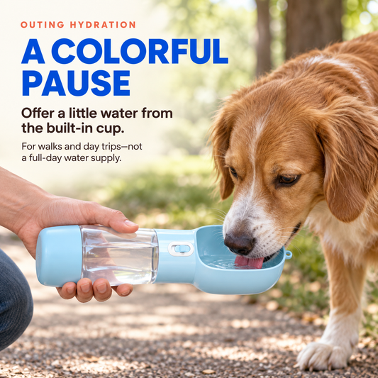 Blue portable pet water and food bottle offered to a dog during a shaded park water break.