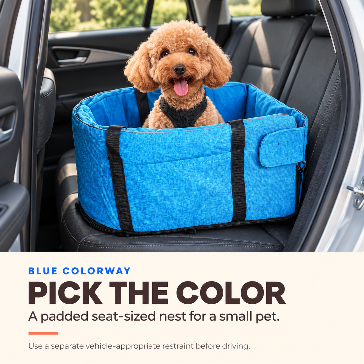 Small tan dog in a Blue pet car travel bed on the rear seat of a parked car