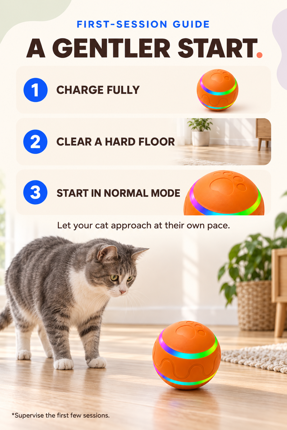 First-session guide for introducing a cat to the orange automatic rotating ball