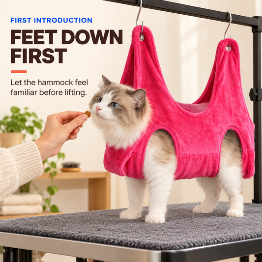 Calm cat stands with all four feet on a padded table inside a Pink nail-trimming grooming hammock during a first introduction.