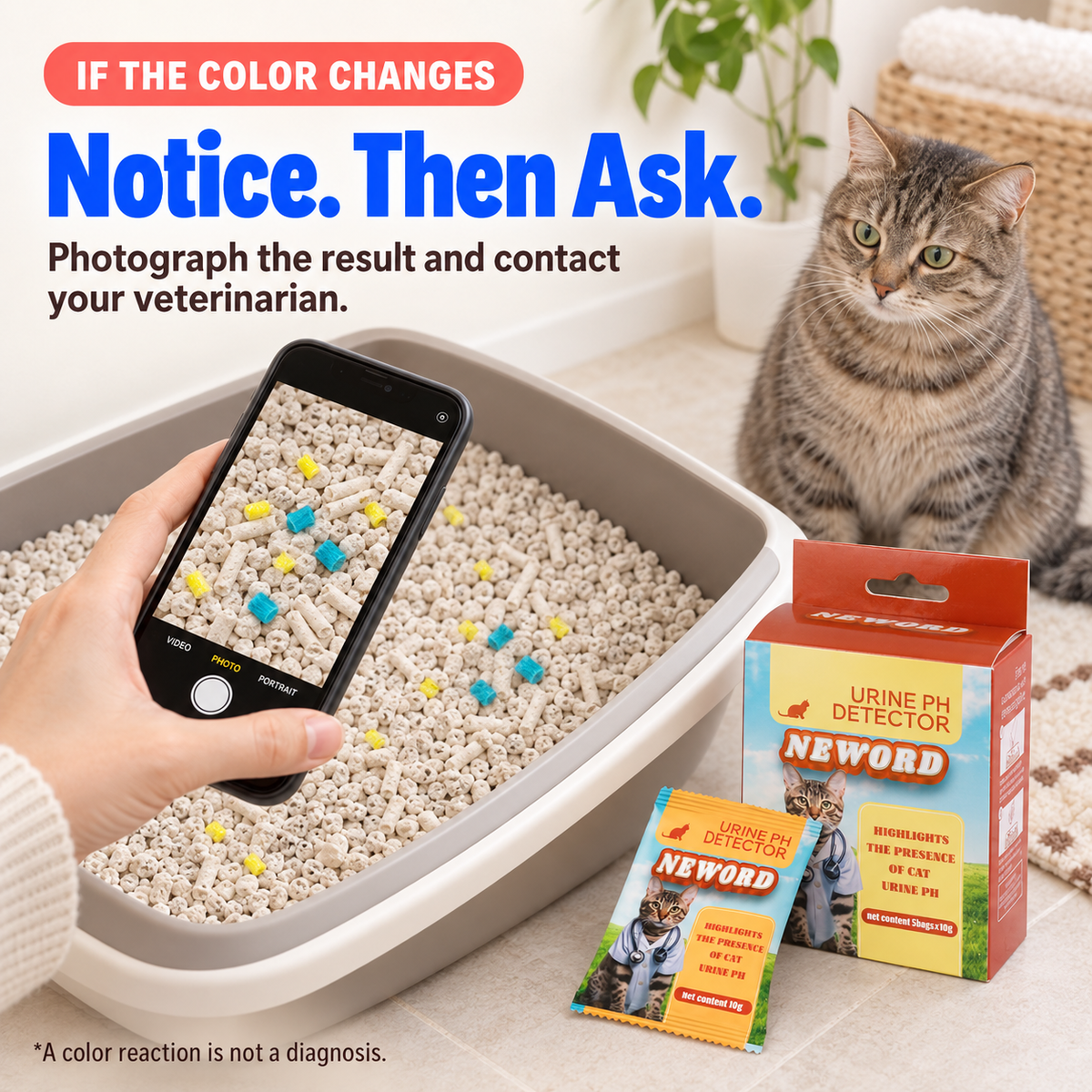 Caregiver photographs turquoise color-reacted indicator granules before contacting a veterinarian