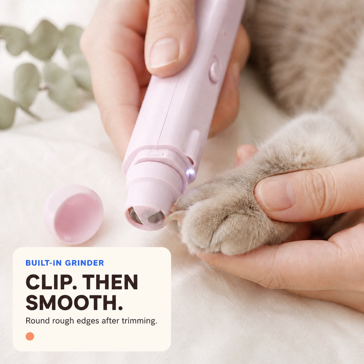 Built-in grinder smoothing the edge of a cat nail after clipping