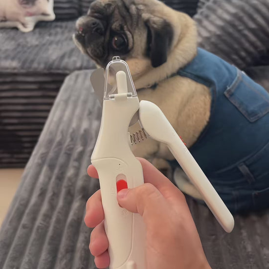 Holding a small dog's paw and trimming a nail with the lit LED Pet Nail Clipper
