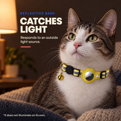 Tabby cat wearing the Yellow reflective collar as the band catches light from an outside source.