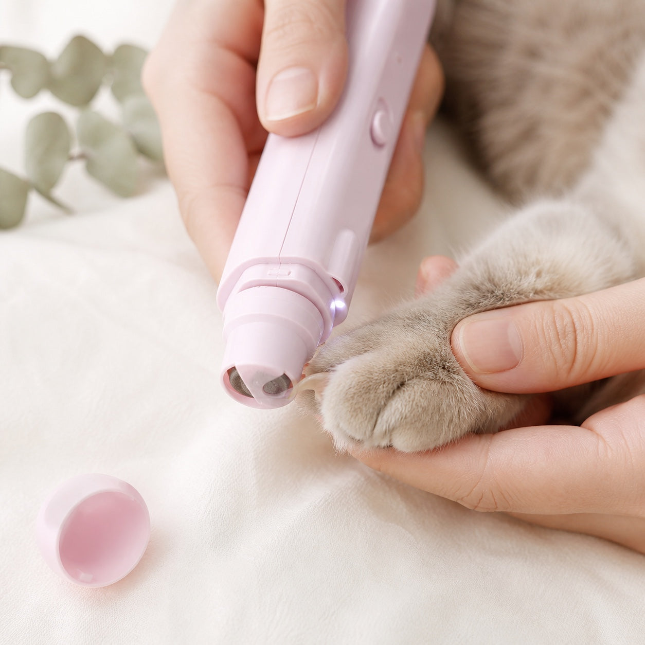Bottom grinder of the pink LED pet nail clipper smoothing the edge of a cat nail